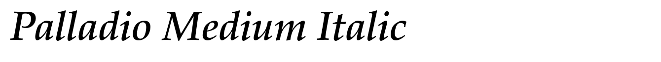 Palladio Medium Italic image